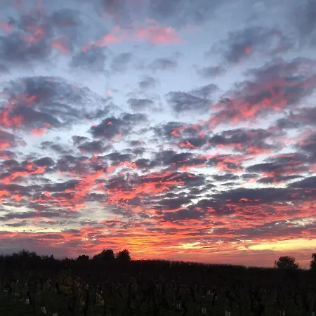 Gites Des Garrigues * L'Honor-de-Cos